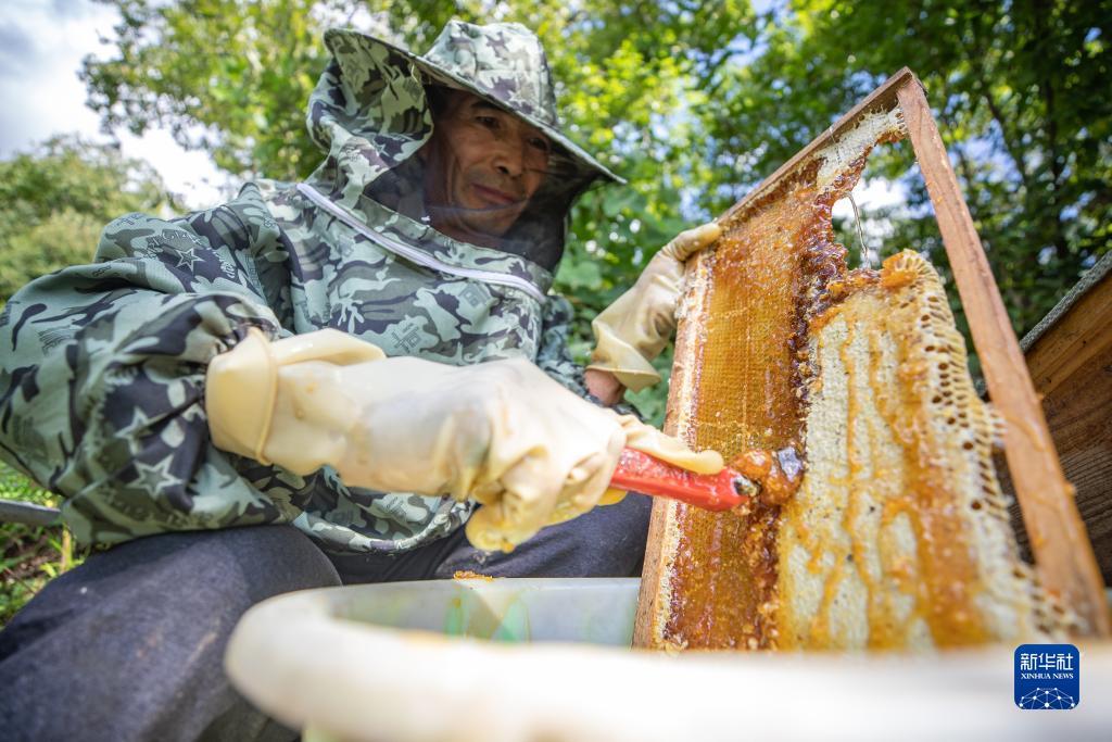 白家乐最稳的打法图
